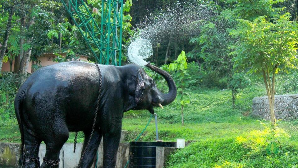 Swasthi Griha Villa Aranmula Luaran gambar